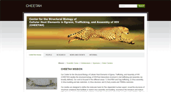 Desktop Screenshot of cheetah.biochem.utah.edu